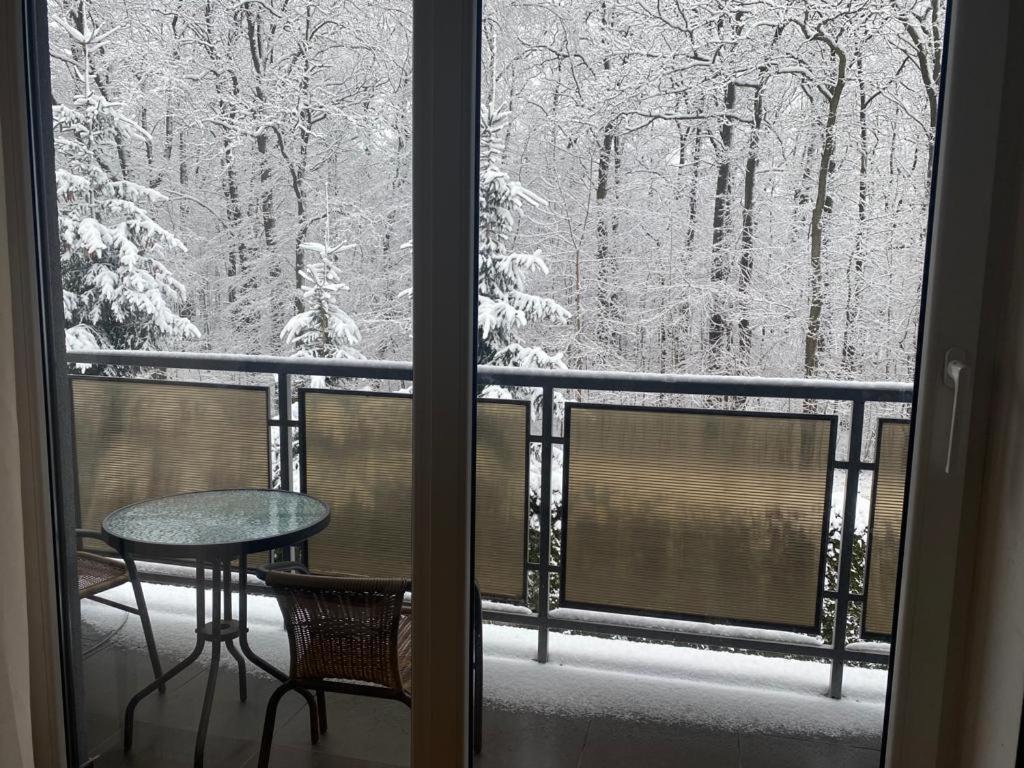 Apartament Natalia Żywiec المظهر الخارجي الصورة