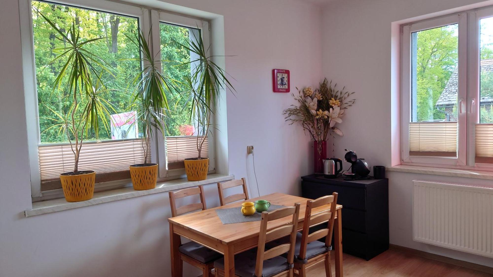 Apartament Natalia Żywiec المظهر الخارجي الصورة